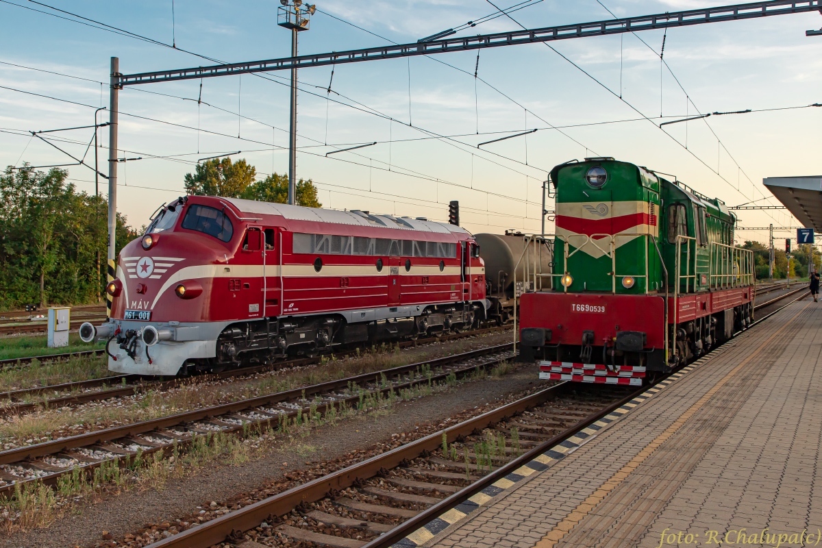 M61.001; Т669.0539