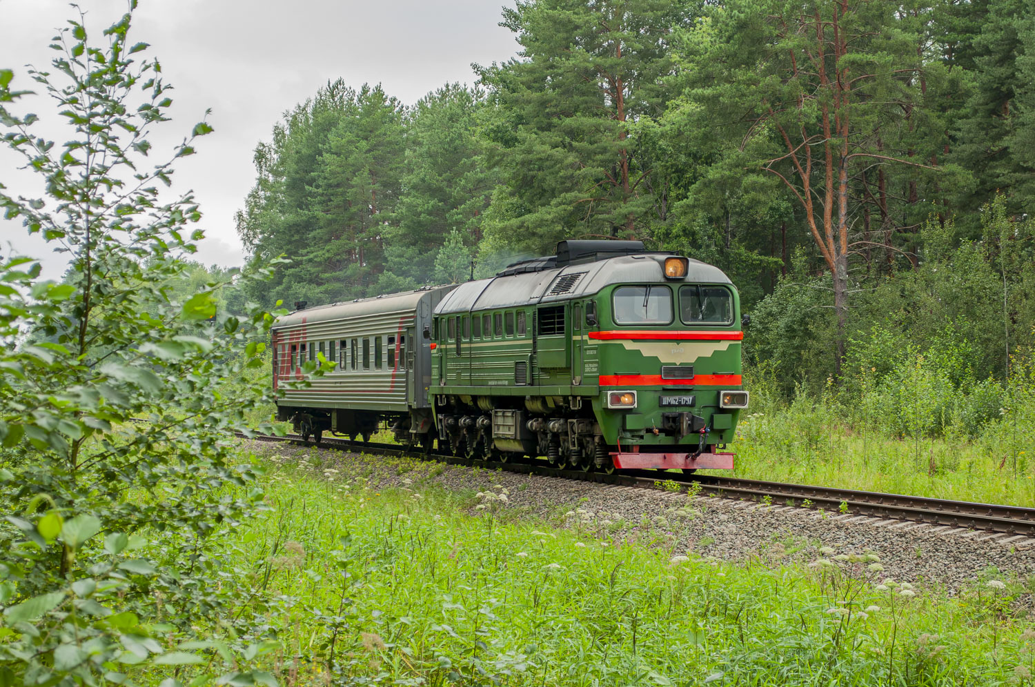 ДМ62-1797