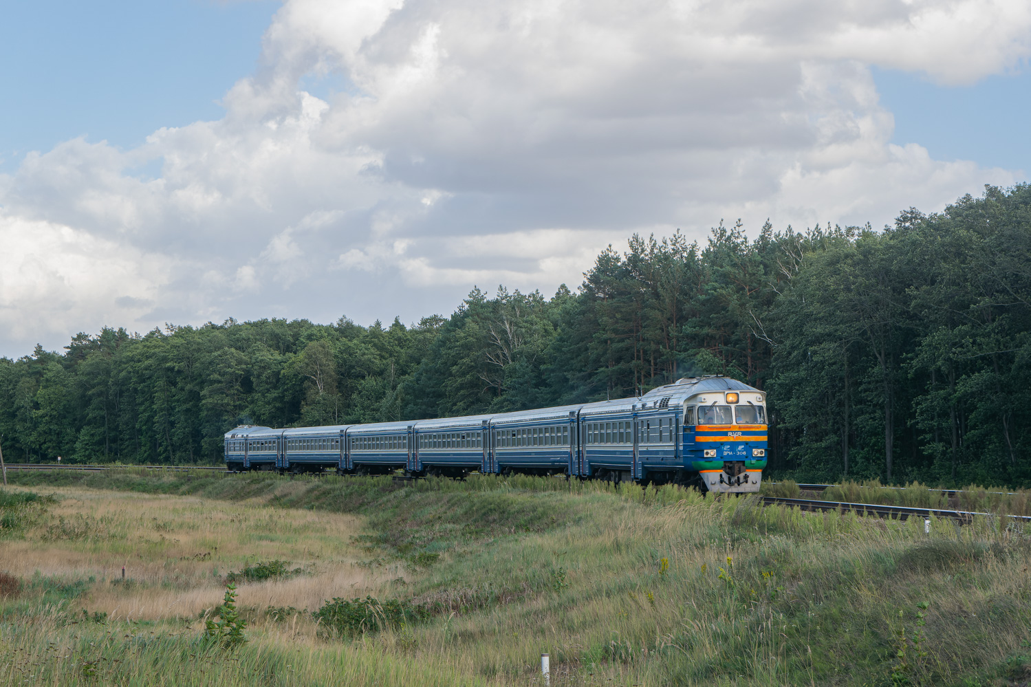 ДР1А-306