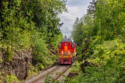 ТЭМ18ДМ-1008 (Октябрьская железная дорога)