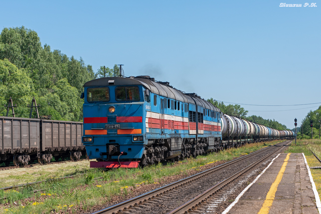 2ТЭ116-876