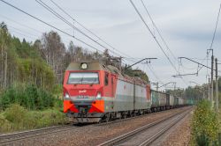 591 КБ