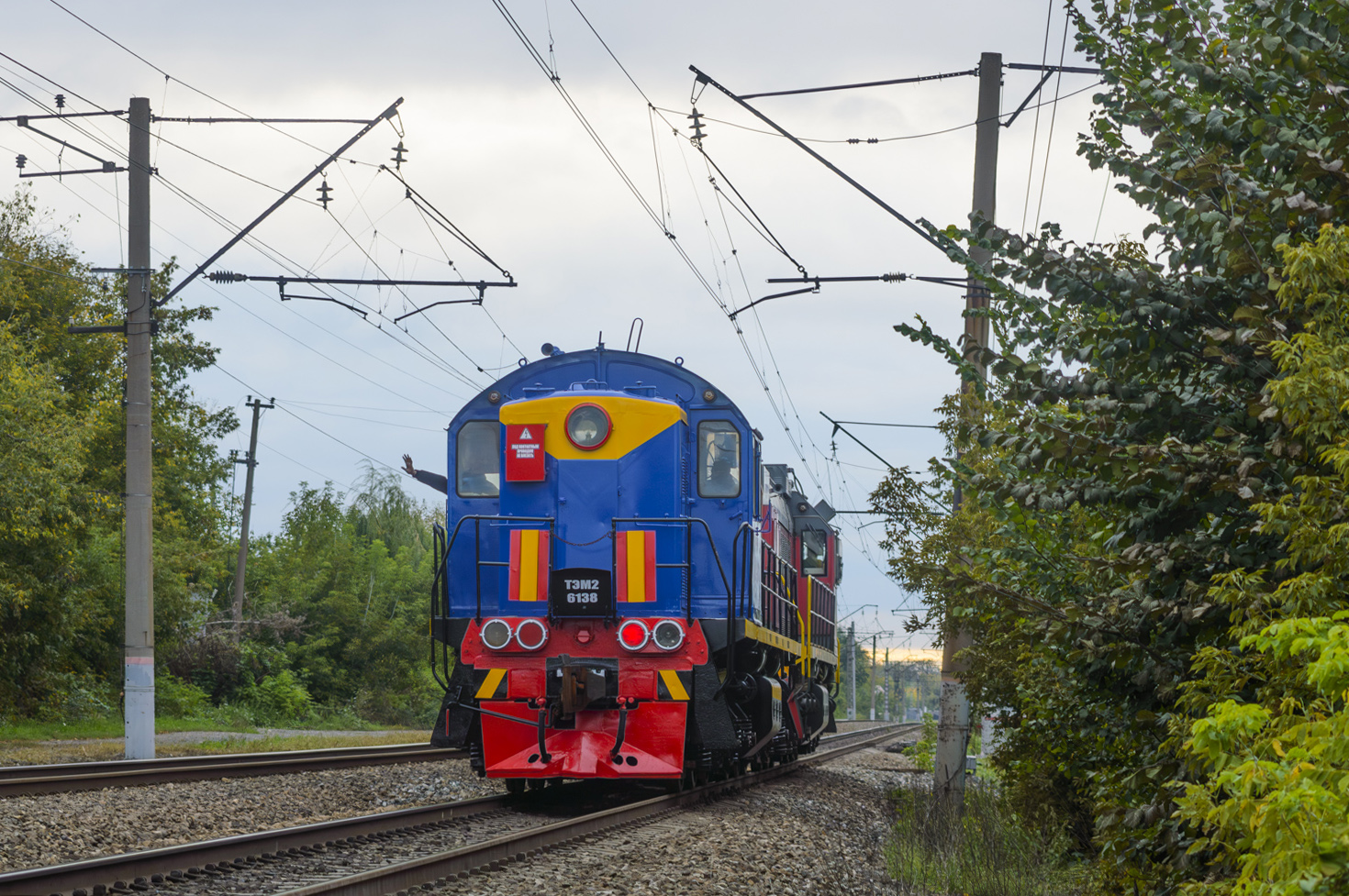 ТЭМ2-6138