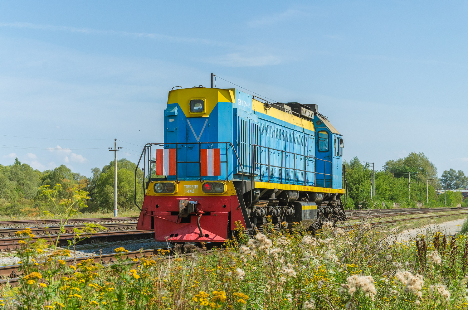 ТЭМ18ДМ-442