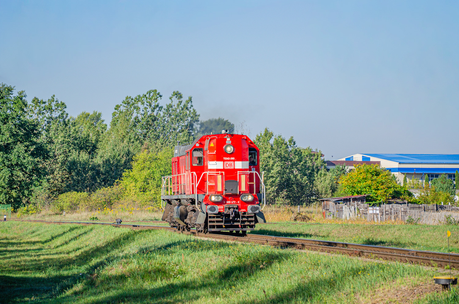TEM2-260