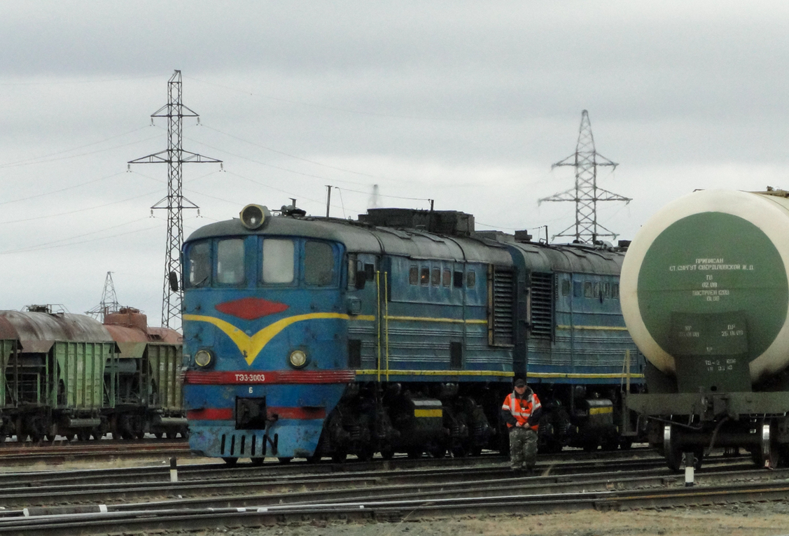 ТЭ3-3003