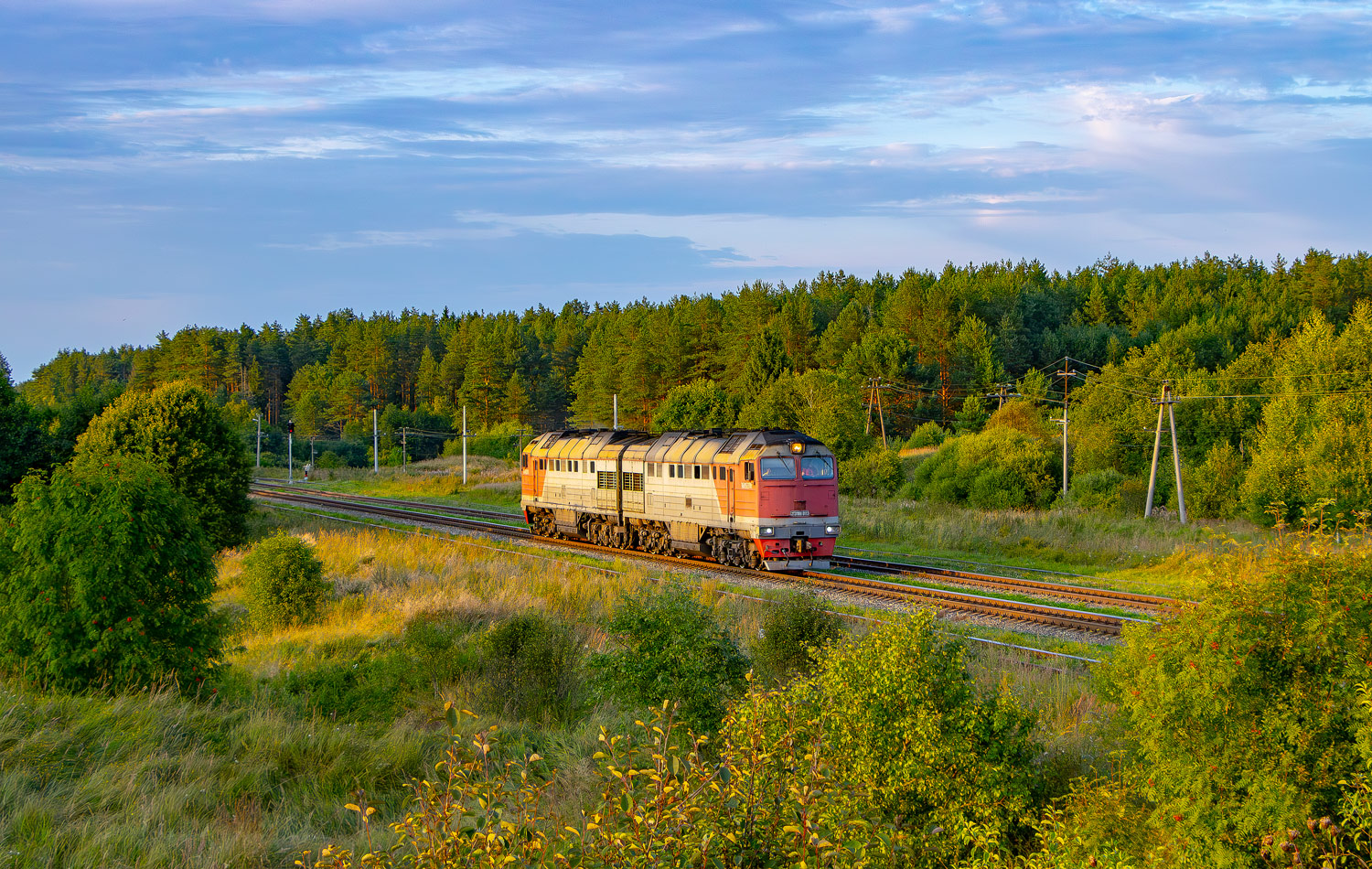 2ТЭ116У-0113
