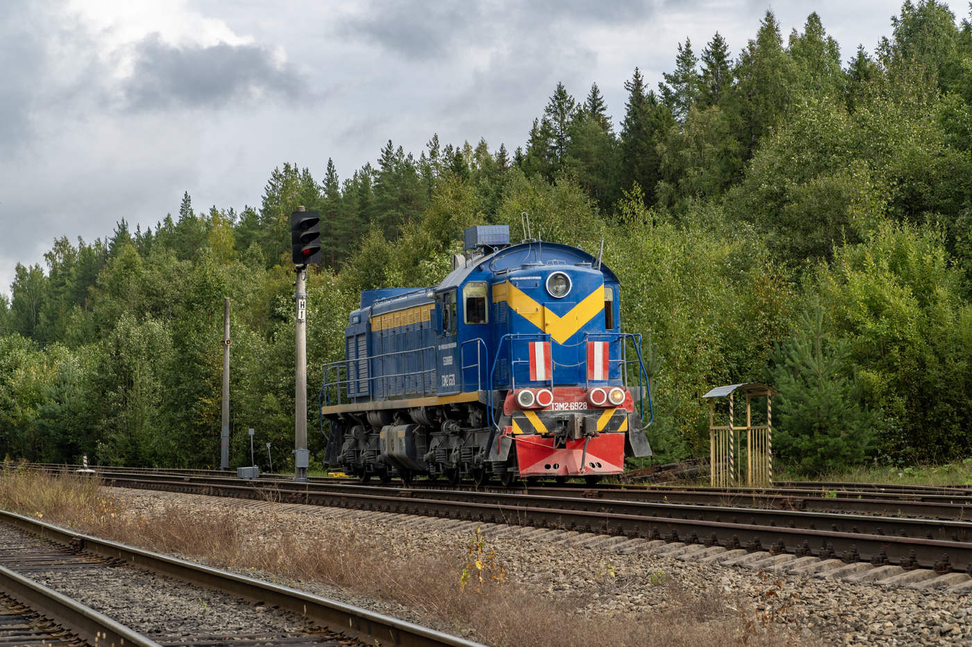 ТЭМ2-6928