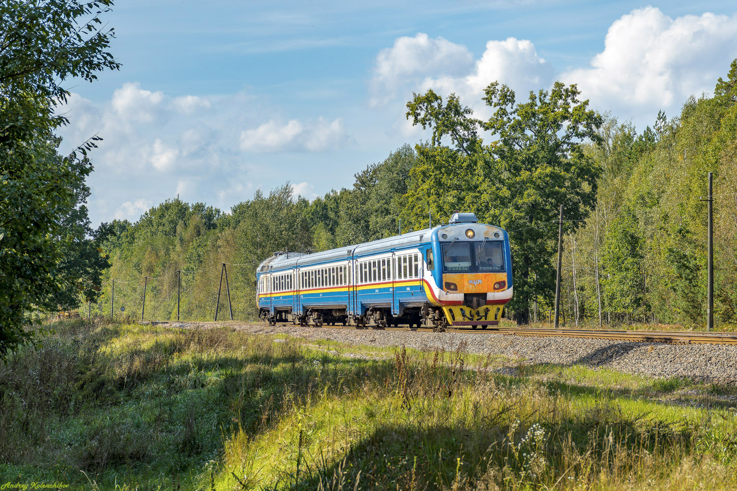 ДР1Б-505