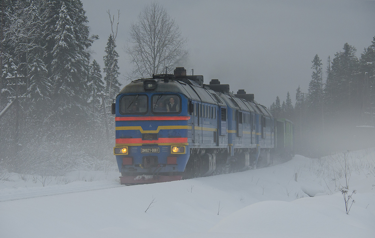 3М62У-0081