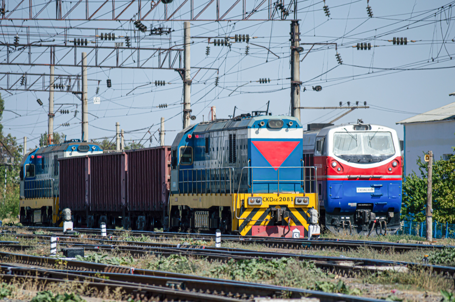 CKD6E-2081