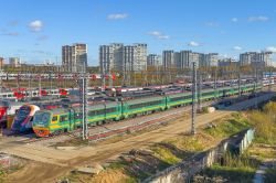 ЭД4М-0381 (Октябрьская железная дорога); ЭГЭ2Тв-026 (Частные перевозчики)